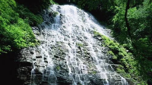 高端智慧